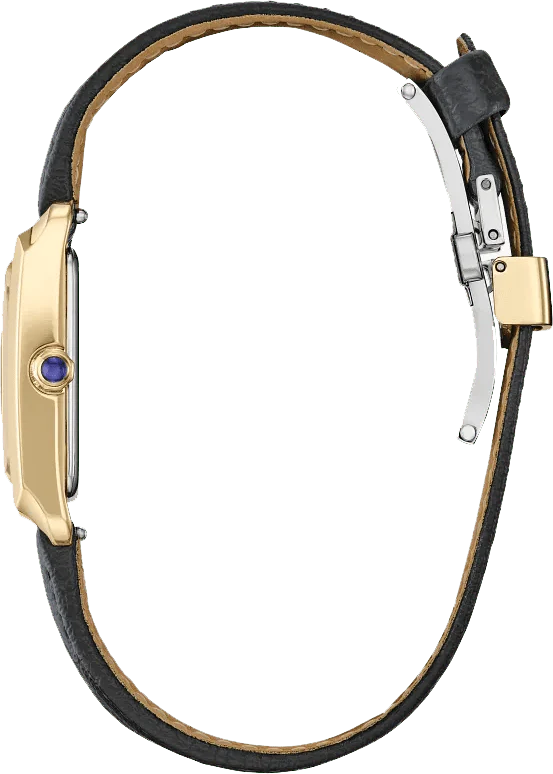 Citizen Eco-Drive 32.5mm EW5622-09P - Image 3